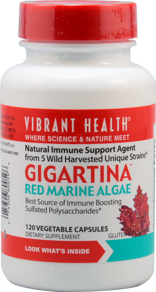Gigartina Red Marine Algae